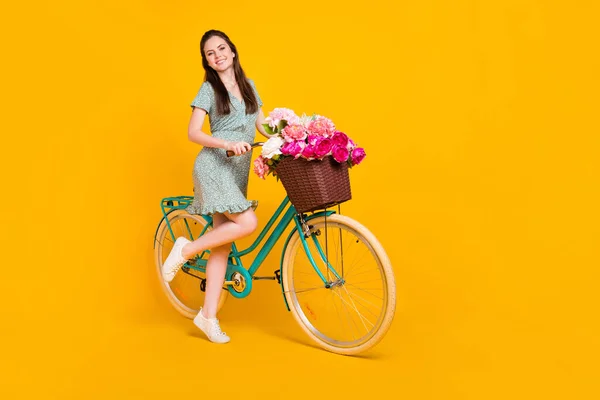 Foto von glänzenden süßen jungen Frau tragen Print-Kleid Reiten Fahrrad rosa Bündel isoliert gelbe Farbe Hintergrund — Stockfoto