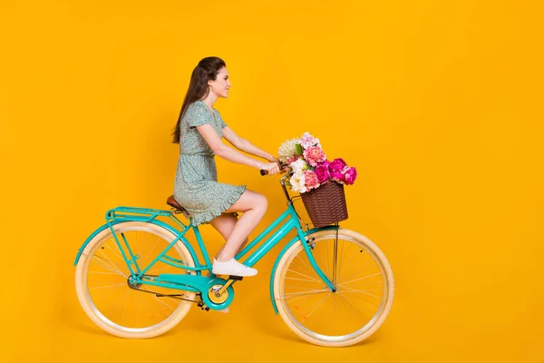 Foto de doce encantador mulher desgaste impressão vestido equitação bicicleta rosa buquê vazio espaço isolado cor amarela fundo — Fotografia de Stock