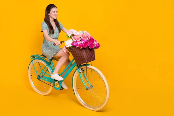 Foto von entzückenden süße Frau tragen Print-Kleid Fahrrad fahren rosa Strauß leeren Raum isoliert gelbe Farbe Hintergrund — Stockfoto