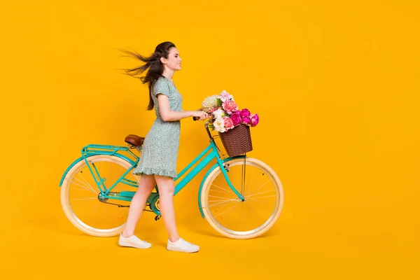Foto von niedlichen entzückenden Dame gekleidet grün Kleid fahren Zyklus rosa Bündel leeren Raum isoliert gelbe Farbe Hintergrund — Stockfoto