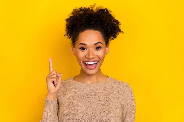 Photo of excited smart woman wear beige sweater rising finger isolated yellow color background — стоковое фото