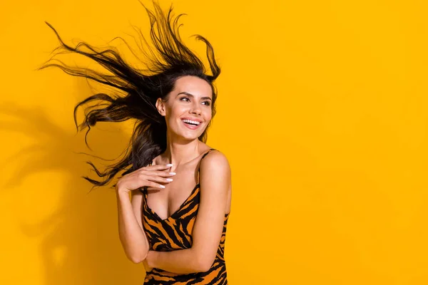 Photo of young cheerful lovely woman look empty space shampoo salon isolated over yellow color background — Foto Stock