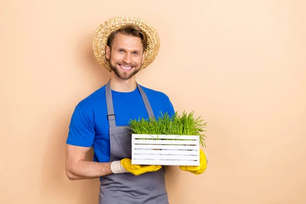 Photo of handsome man hold demonstrate green plant pot isolated on beige color background — 스톡 사진