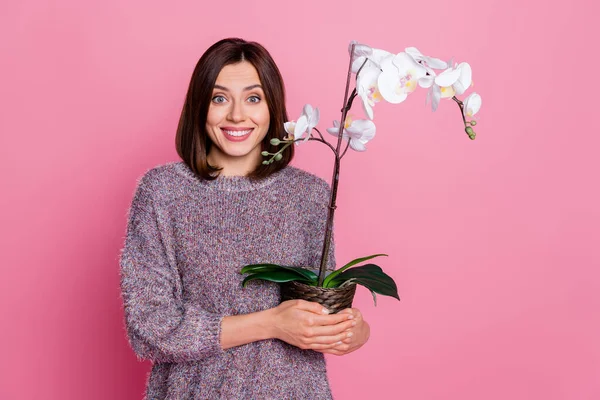 Portrait of attractive cheerful girl holding in hands fresh natural white orchid isolated over pink pastel color background —  Fotos de Stock