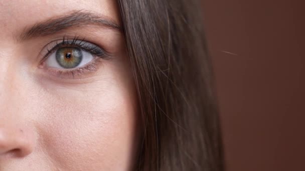 Närbild dam har perfekt syn mascara isolerad brun färg bakgrund — Stockvideo