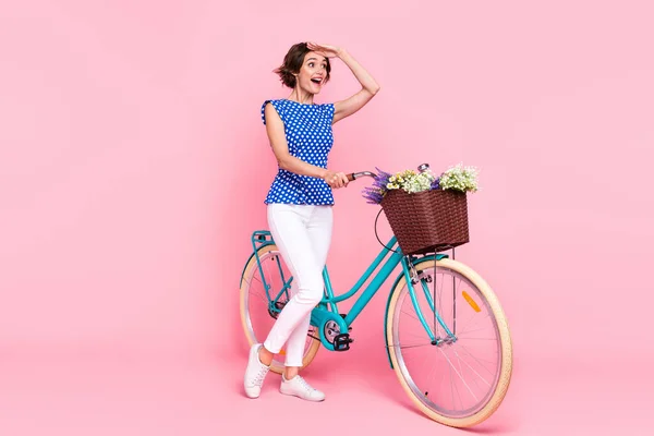 Full body photo of sweet young brunette lady drive bicycle look promo wear blouse pants shoes isolated on pink background — Fotografia de Stock