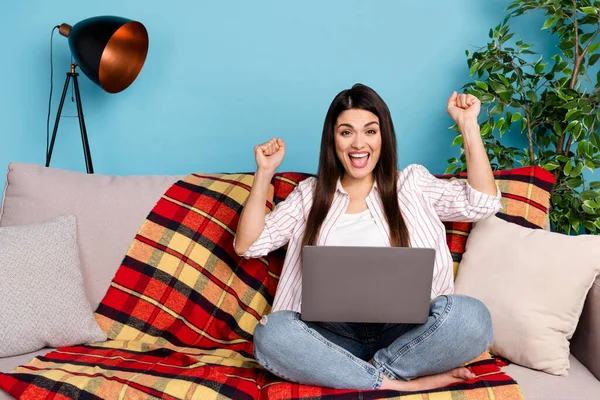 Portrait of attractive trendy cheerful long-haired girl using laptop working remotely rejoicing isolated on blue color background indoors — Stok fotoğraf