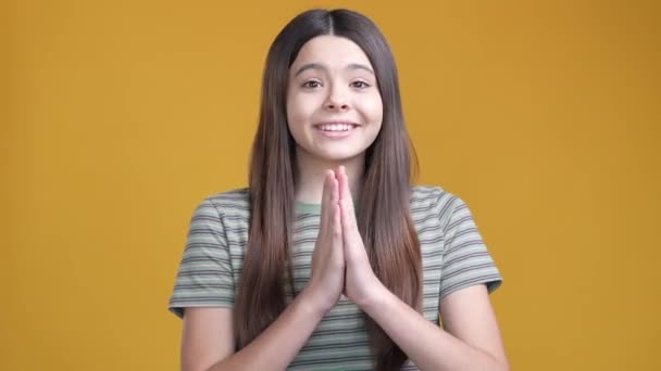 Positive schoolkid make pray gesture isolated shine color background — Stock Video