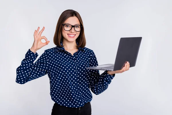 Portrét atraktivní trendy veselá dívka pomocí notebooku ukazující ok-sign reklamní společnost izolované přes šedé pastelové barvy pozadí — Stock fotografie