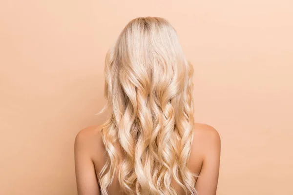 Back view photo of amazing stunning female with long beach waves hairstyle isolated on beige color background — Fotografia de Stock