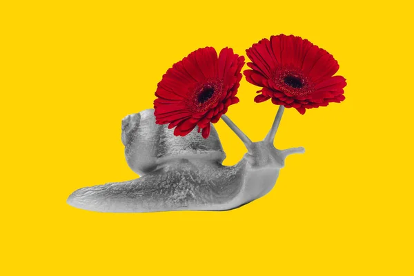 Kreatywny Kolaż Obraz Czarnego Białego Ślimaka Gamma Dwa Kwiaty Zamiast — Zdjęcie stockowe