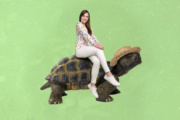 Lustige Mädchen Sitzen Auf Der Oberseite Der Großen Schildkröte Haben — Stockfoto