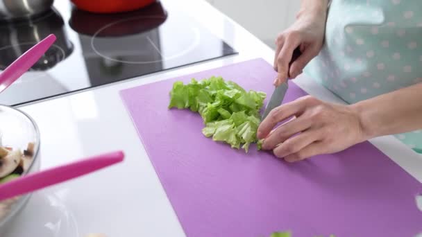 Moderno Buffet Cafetaria Chef Profissional Fazendo Salada Fresca Útil Imagens — Vídeo de Stock