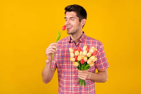 Portret Van Aantrekkelijke Vrolijke Dromerige Man Met Ruikende Tulpen Geïsoleerd — Stockfoto