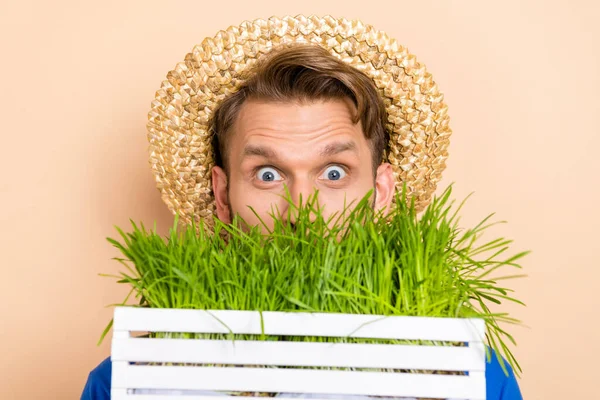 Fotografie Mladého Ohromen Muž Hodinky Pohled Zírá Zelená Rostlina Izolované — Stock fotografie