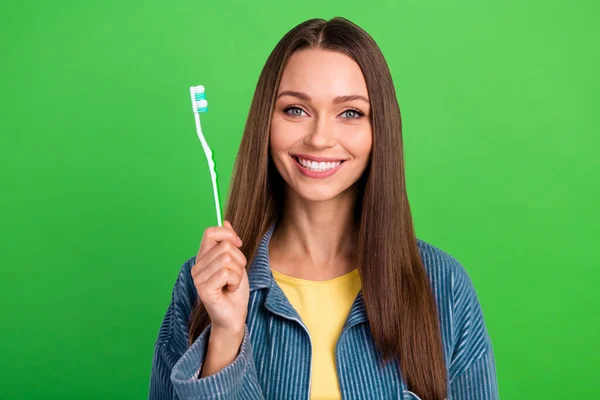 Portrait of cheerful charming lady hand hold toothbrush beaming smile isolated on green color background.