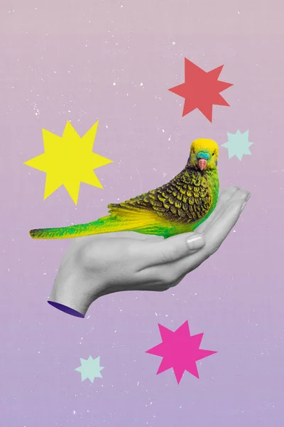 Kreativní Koláž Člověka Palmy Držet Zelený Papoušek Koncept Ochrany Živočichů — Stock fotografie