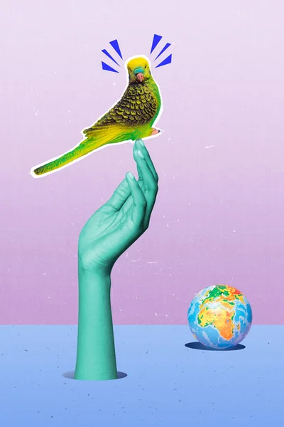 Collage 3d image of pinup pop retro sketch image of parrot sitting arm globe isolated blue pink painting background.