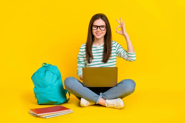 Fotografie Pozitivní Půvabné Vysokoškolské Studentka Show Pořádku Symbol Pracuje Netbook — Stock fotografie