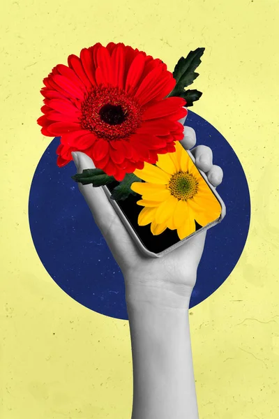手扶手手持电话 种植花卉 隔离黄色背景的创意抽象模板图形图像 — 图库照片