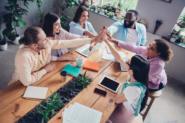 Foto Amigável Bonitinho Empresário Empresária Levantando Braços Juntos Dentro Casa — Fotografia de Stock