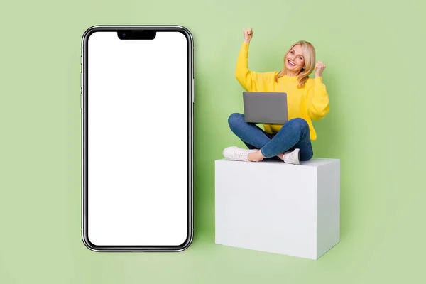 Photo of modern aged lady sit cube use netbook fist up electronic eshop device poster isolated green color background.