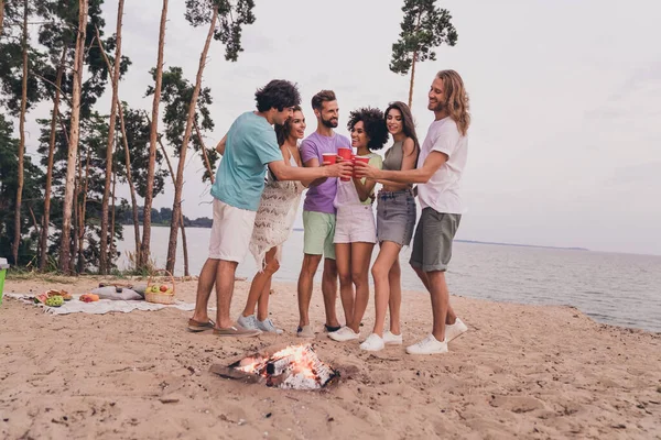 Full body photo of group cheerful idyllic people clink alcohol cup enjoy bonfire hanging out outdoors.