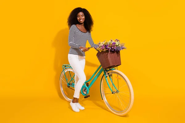 Tamanho Total Corpo Foto Mulher Mantendo Bicicleta Com Vaso Flores — Fotografia de Stock