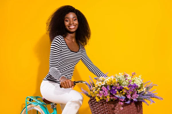 Photo portrait of curly woman riding a bike with flower pot smiling in casual clothes isolated vivid yellow color background.