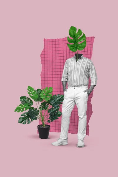 Artwork Magazine Picture Man Green Plant Leaf Instead Head Isolated — Fotografia de Stock