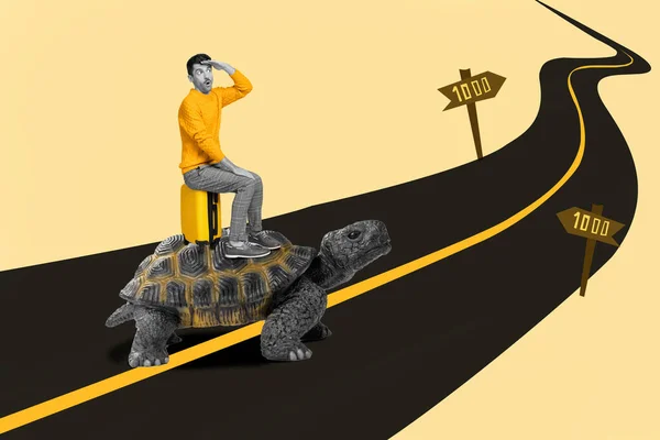 惊慌失措的小家伙黑色白色伽马射线坐着巨大的乌龟走在漫长的道路上 孤独地走在图画的背景下 — 图库照片