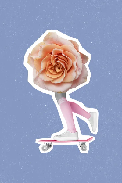 Photo Artwork Minimal Picture Pink Rose Lady Legs Riding Skateboard — ストック写真