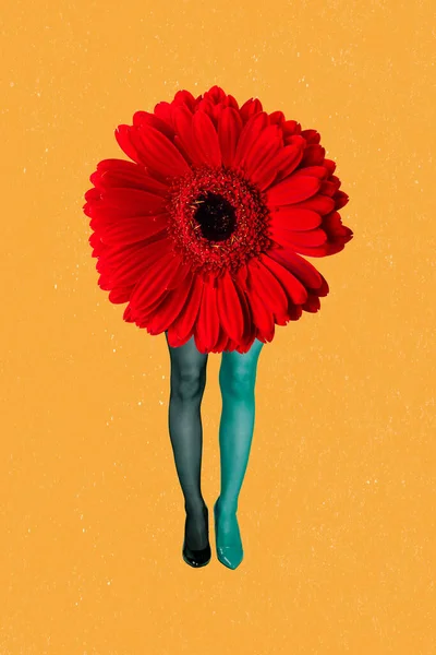 Creative Photo Artwork Graphics Painting Big Red Flower Walking Long — Stockfoto