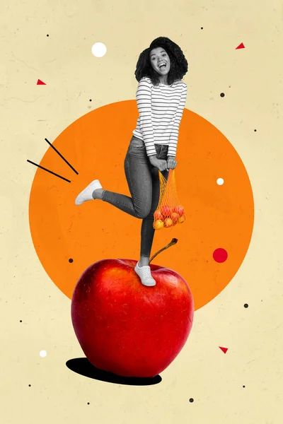 Collage 3d image of pinup pop retro sketch of funny lady standing big apple holding net shopper isolated painting background.