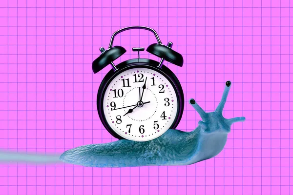 Composite Collage Illustration Snail Crawl Hold Big Classic Clock Isolated — Fotografia de Stock