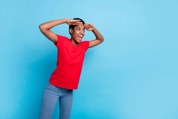 Portrait of crazy shocked person arms forehead look empty space isolated on blue color background.