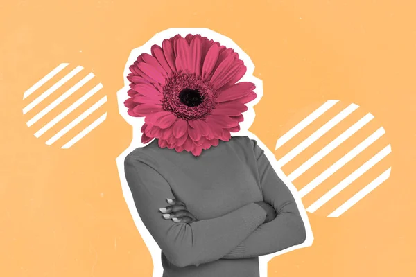 Creative Abstract Collage Image Weird Girl Pink Flower Instead Head — Stok fotoğraf