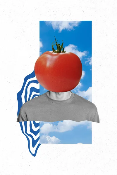 Vertical Poster Collage Guy Tomato Instead Head Isolated Drawing White — Stock Photo, Image