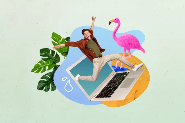 Collage Template Happy Guy Jumping Netbook Web Travel Reservation Resort — Fotografia de Stock