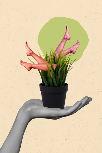 Poster Collage Peope Hold Flower Pot Ladies Soft Silky Smooth — Stockfoto