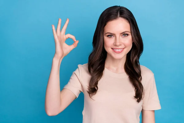 Photo Positive Attractive Lady Showing Okay Symbol Promote Haircare Product — Foto de Stock