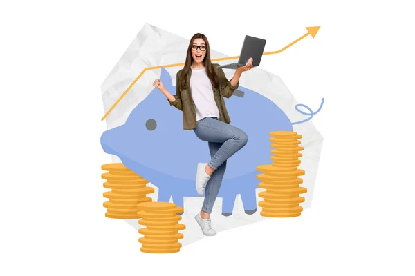 Banner Collage Lady Earn Money Hold Laptop Isolated Drawing White — Foto Stock