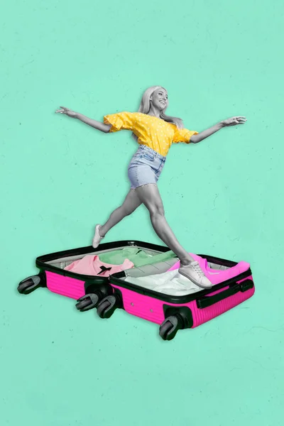 Collage Artwork Graphics Picture Funny Funky Lady Preparing New Trip — Stockfoto