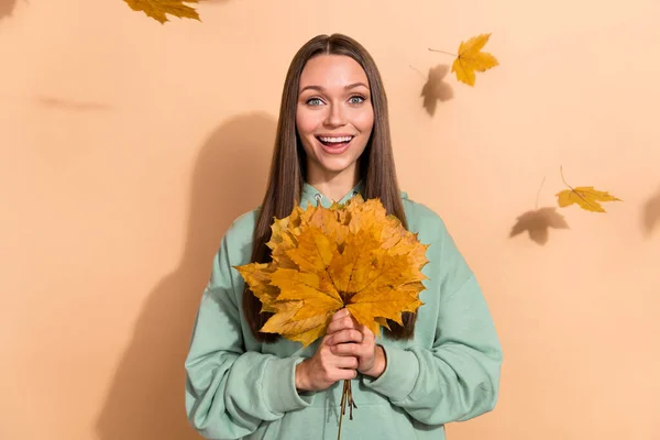 Portrait Attractive Cheerful Romantic Brown Haired Girl Holding Bunch Leaves — Foto de Stock