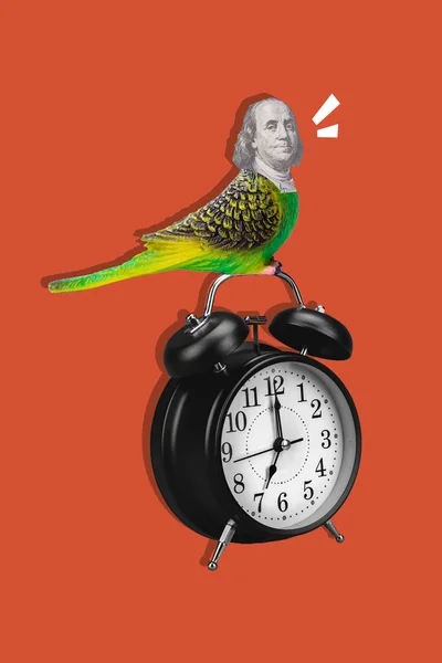 Creative Collage Artwork Postcard Poster Sketch Weird Bird Say Wake — Fotografia de Stock