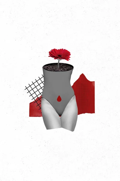 Vertical Collage Image Flower Planted Growth Cropped Girl Body Black — Zdjęcie stockowe