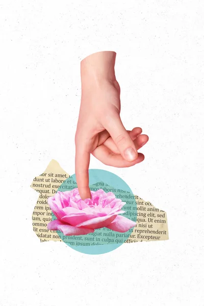 Vertical Collage Illustration Human Hand Finger Point Touch Pink Flower — Stockfoto