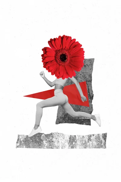 Vertical Banner Collage Lady Run Flower Instead Head Isolated Painting — Zdjęcie stockowe