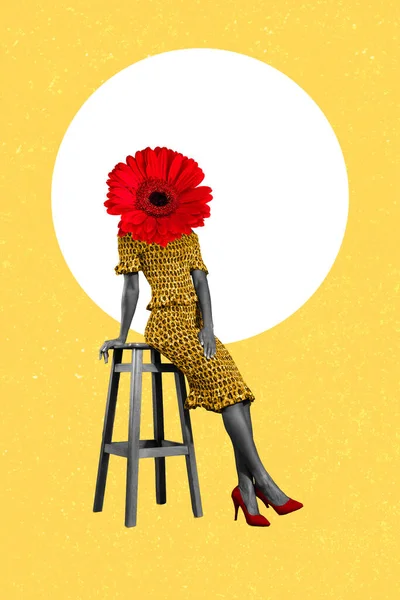 Creative Photo Graphics Collage Elegant Woman Gerbera Flower Instead Head — Fotografia de Stock
