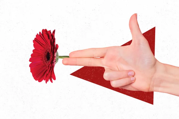 Creative Photo Artwork Graphics Painting Fingers Gun Shooting Red Blossom — Stockfoto